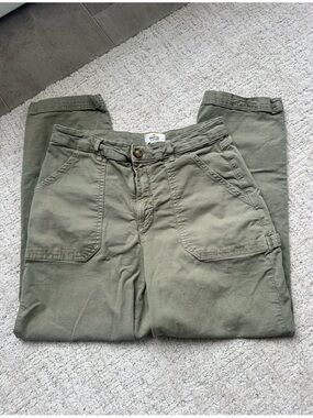 Marine Layer Olive Green Cargo Pants
